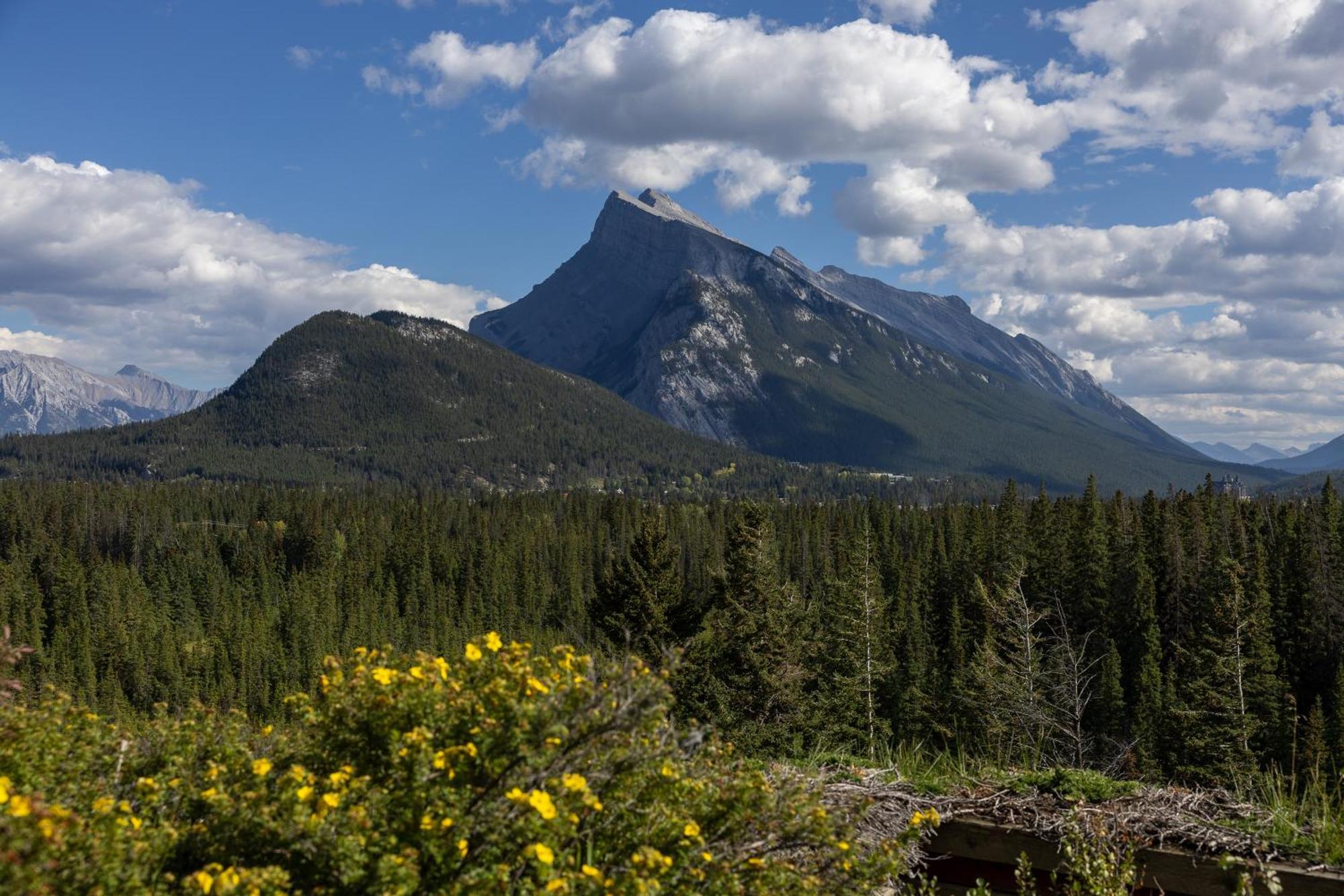 The Juniper Hotel & Bistro Banff Buitenkant foto